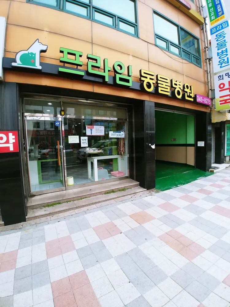 소사프라임동물병원 대표 이미지