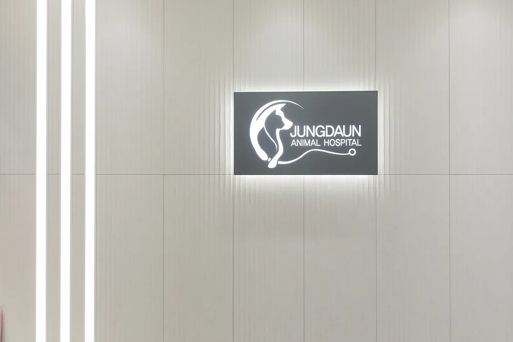 정다운동물병원 대표 이미지
