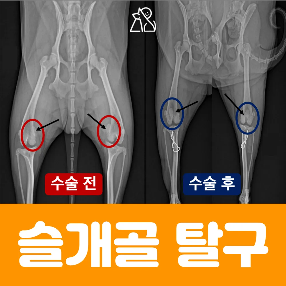 안산 반함동물의료센터 대표 이미지