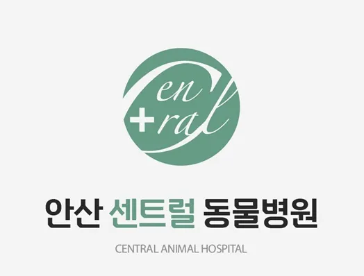 안산센트럴동물병원 대표 이미지