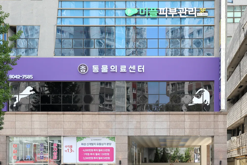 참동물의료센터 대표 이미지