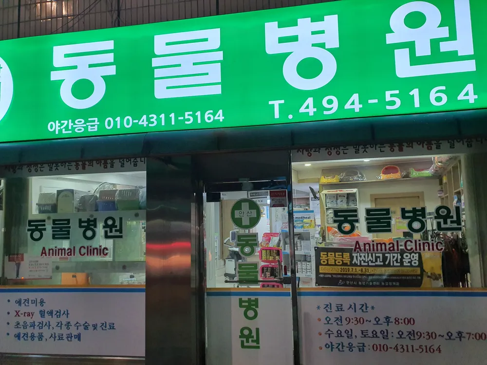 안산동물병원 대표 이미지