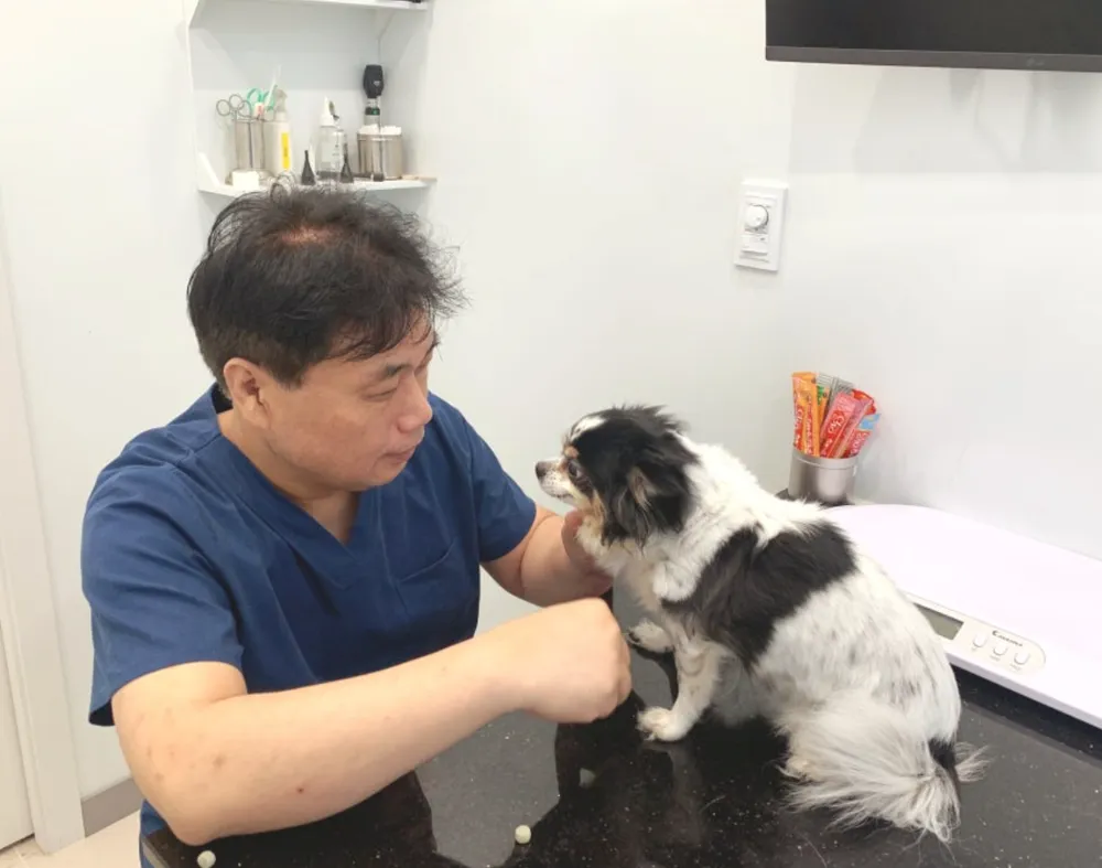스타동물병원 대표 이미지