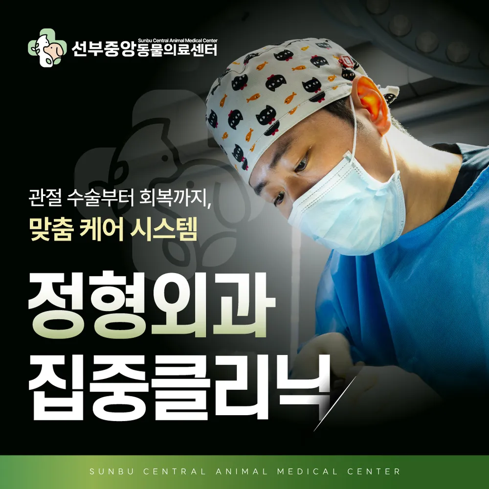 선부중앙동물의료센터 대표 이미지