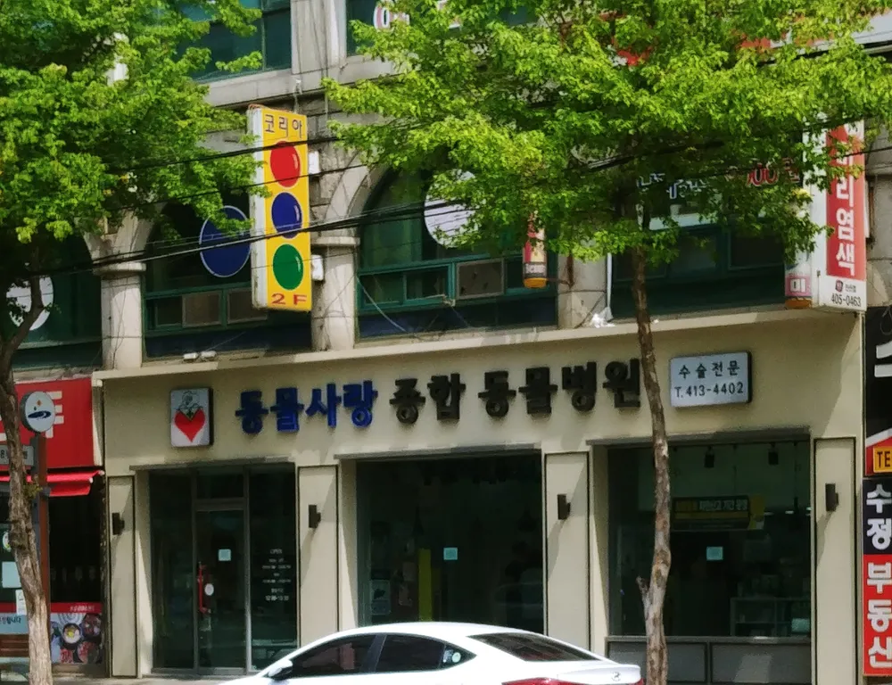 동물사랑동물병원 대표 이미지