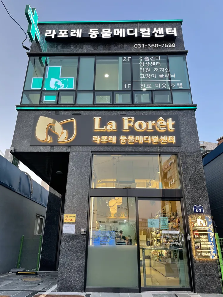 라포레동물메디컬센터 대표 이미지