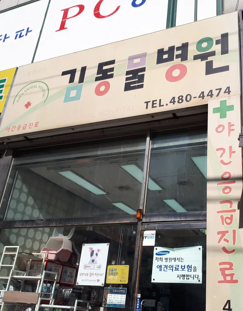 김동물병원 대표 이미지