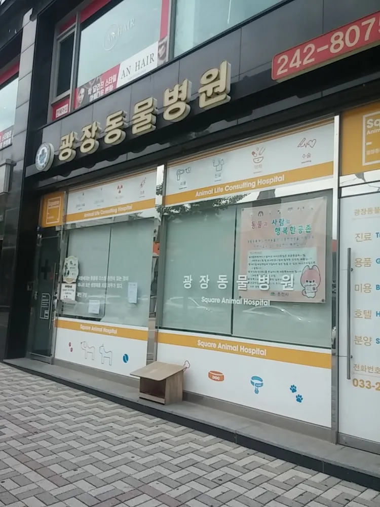 광장동물병원 대표 이미지
