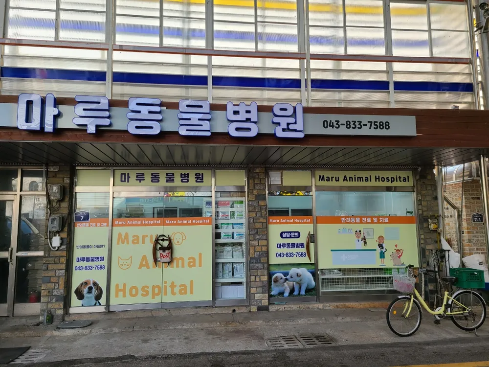 마루동물병원 대표 이미지