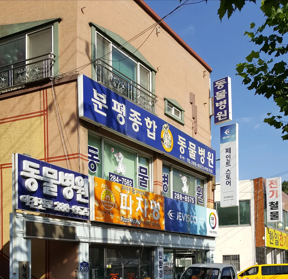 분평종합동물병원 대표 이미지