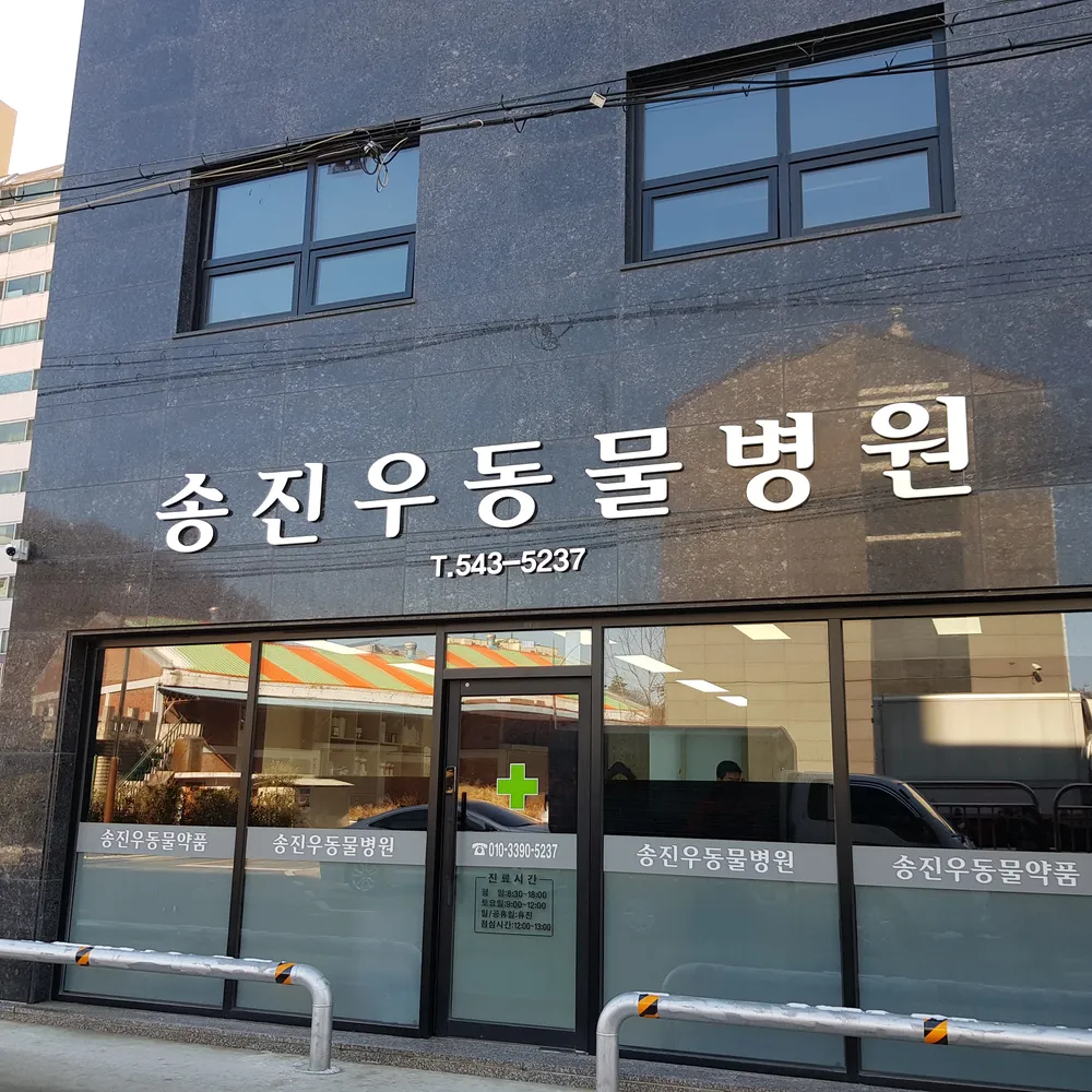 송진우동물병원 대표 이미지