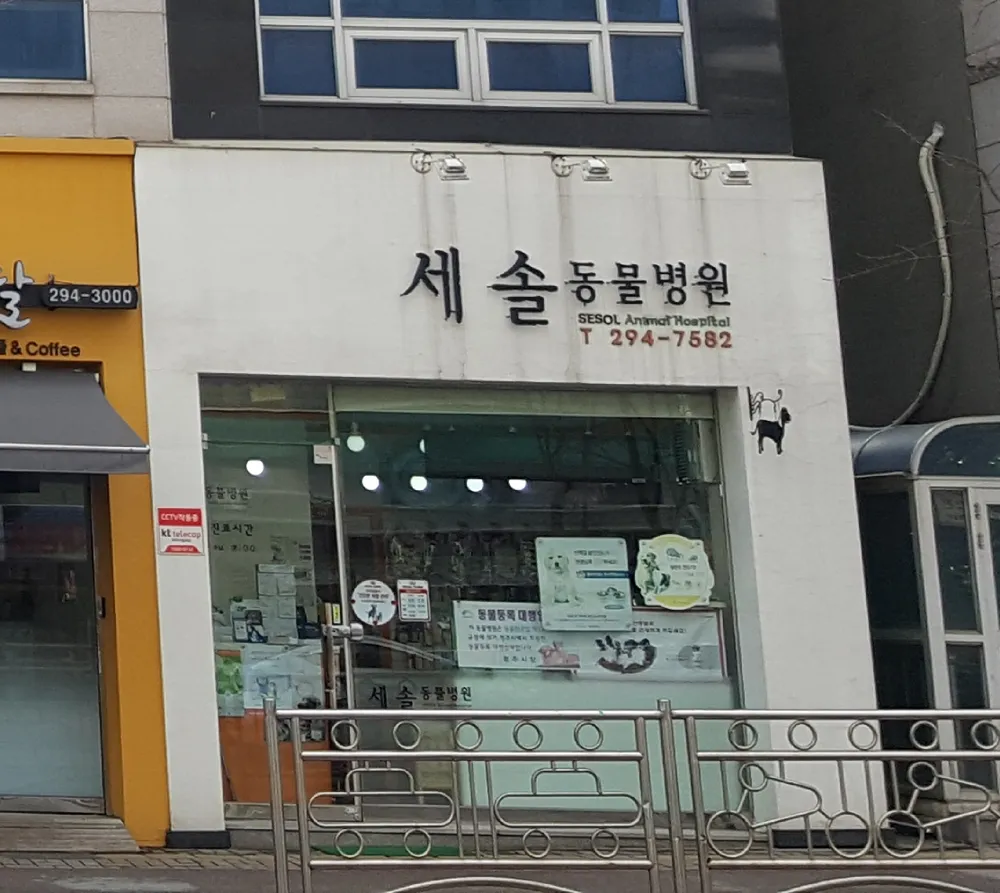 세솔동물병원 대표 이미지