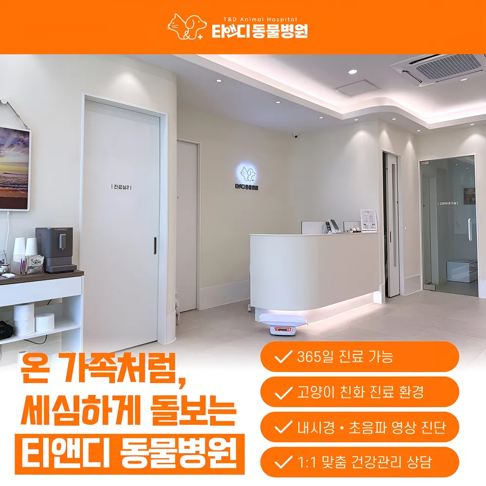 티앤디동물병원 대표 이미지