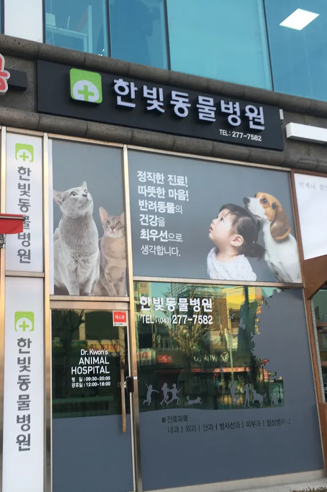 한빛동물병원 대표 이미지