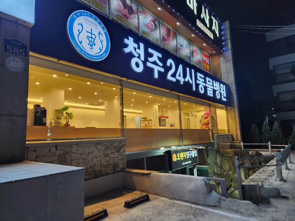 청주24시동물병원 대표 이미지