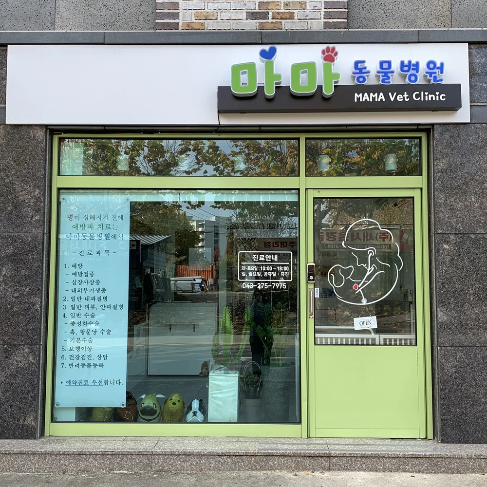 마마동물병원 대표 이미지