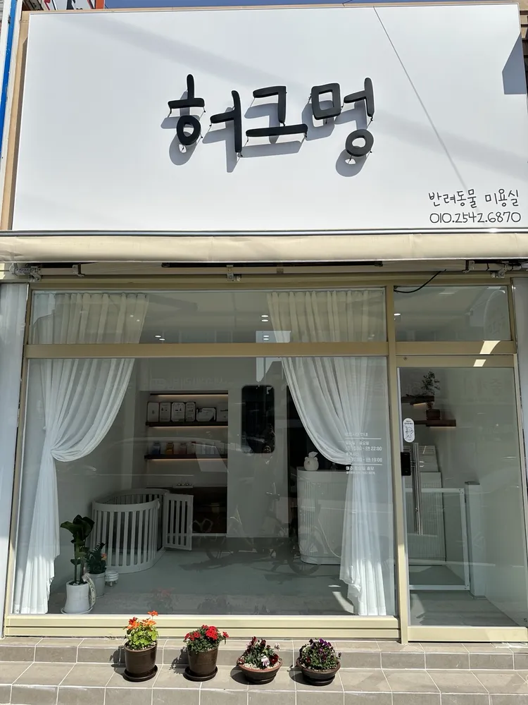 허그멍 대표 이미지