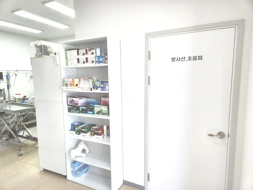 세종종합동물병원 대표 이미지