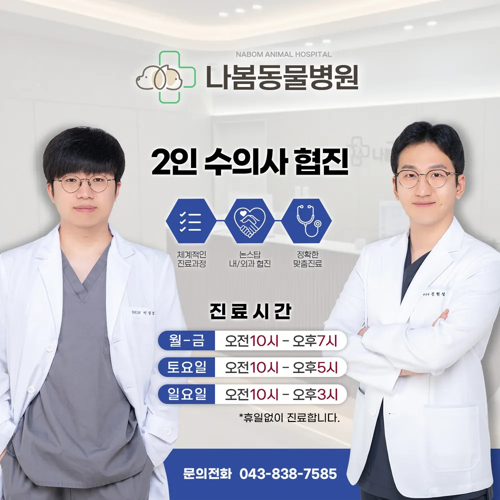 나봄동물병원 대표 이미지