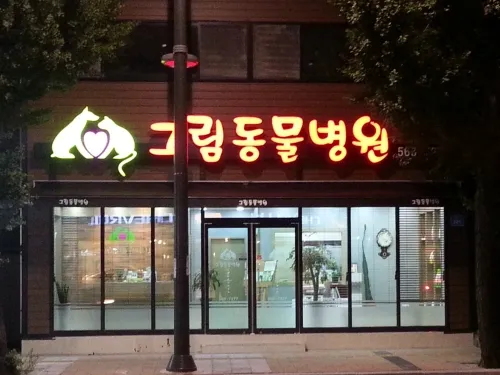 그림동물병원 대표 이미지