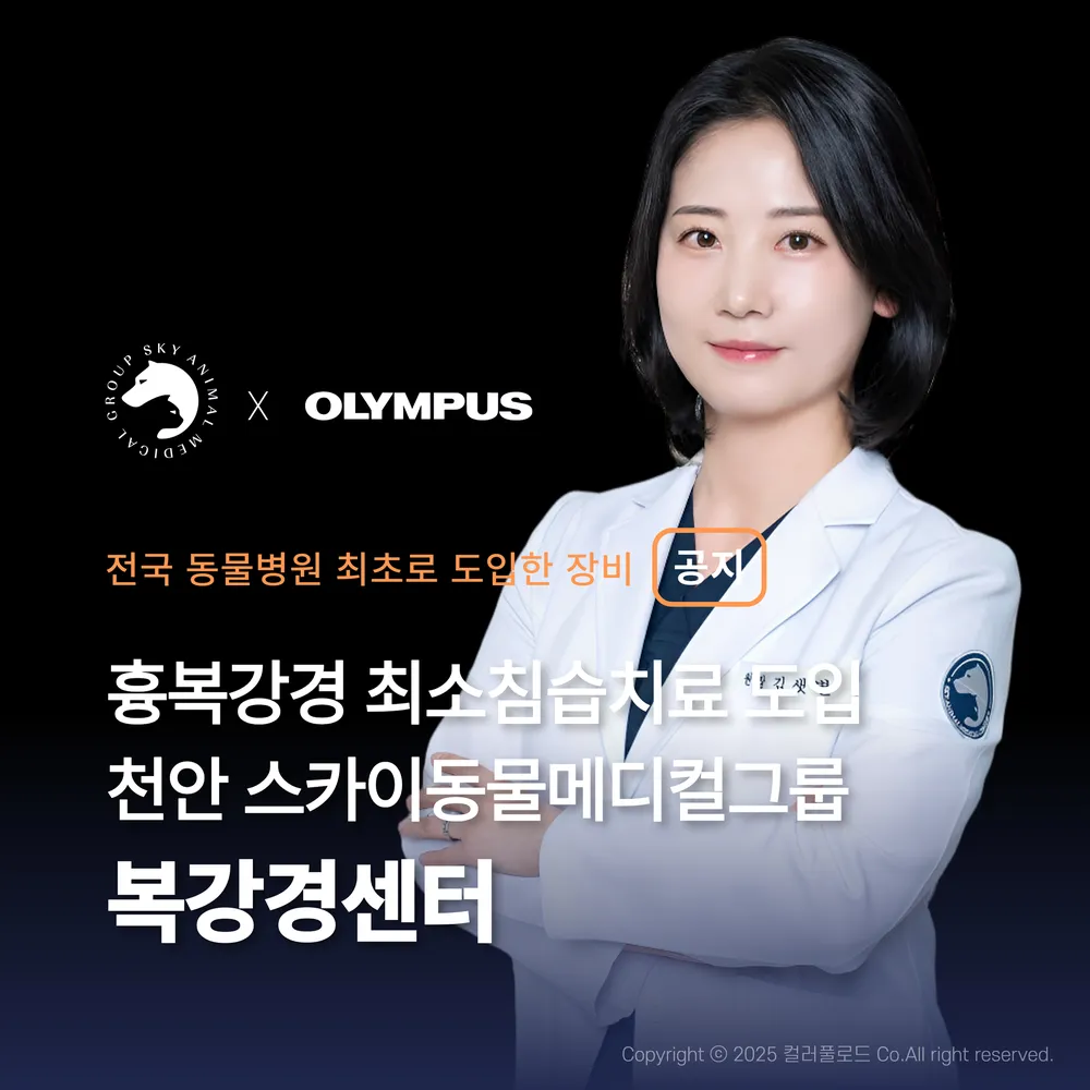천안24시스카이동물메디컬센터 대표 이미지