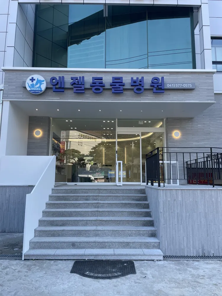 엔젤동물병원 대표 이미지