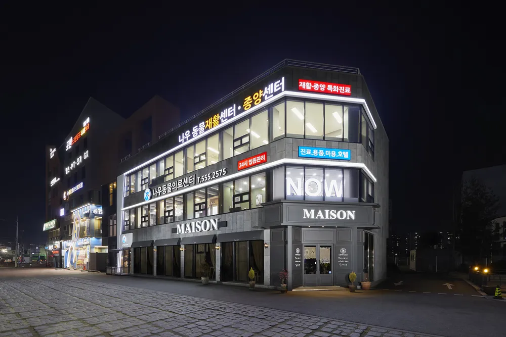 나우동물의료센터 대표 이미지
