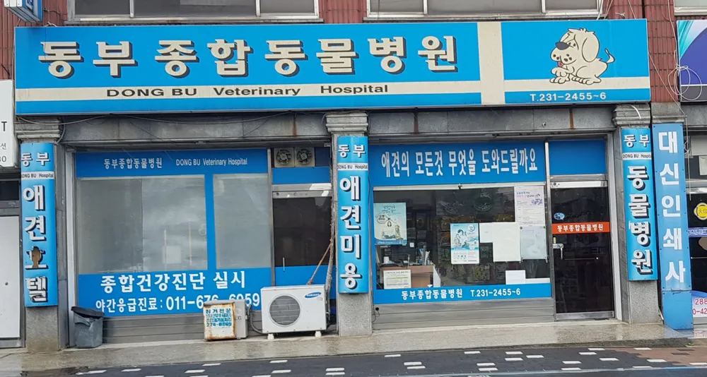 동부종합동물병원 대표 이미지