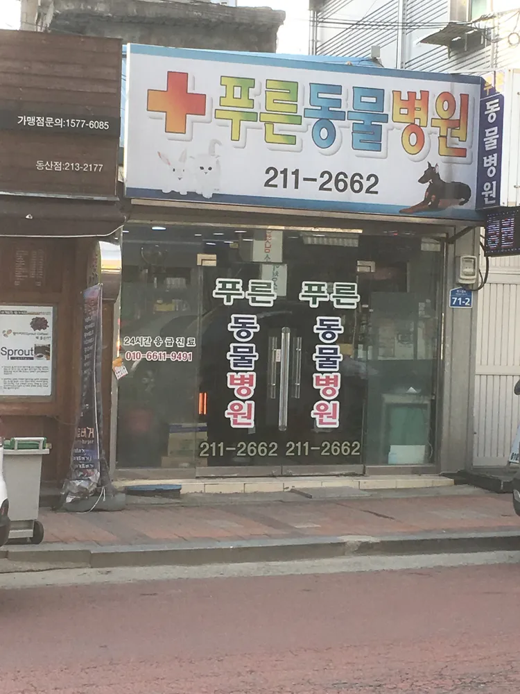 푸른동물병원 대표 이미지