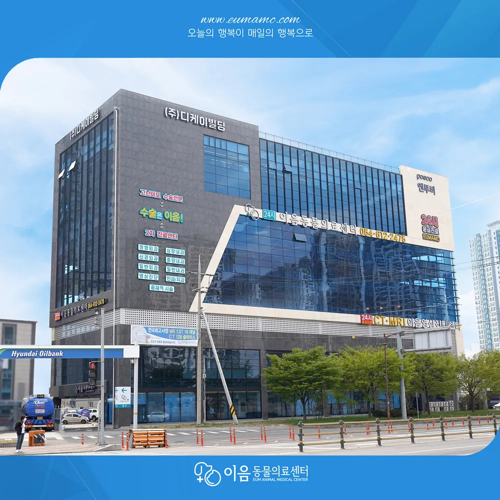 24시포항이음동물의료센터 대표 이미지