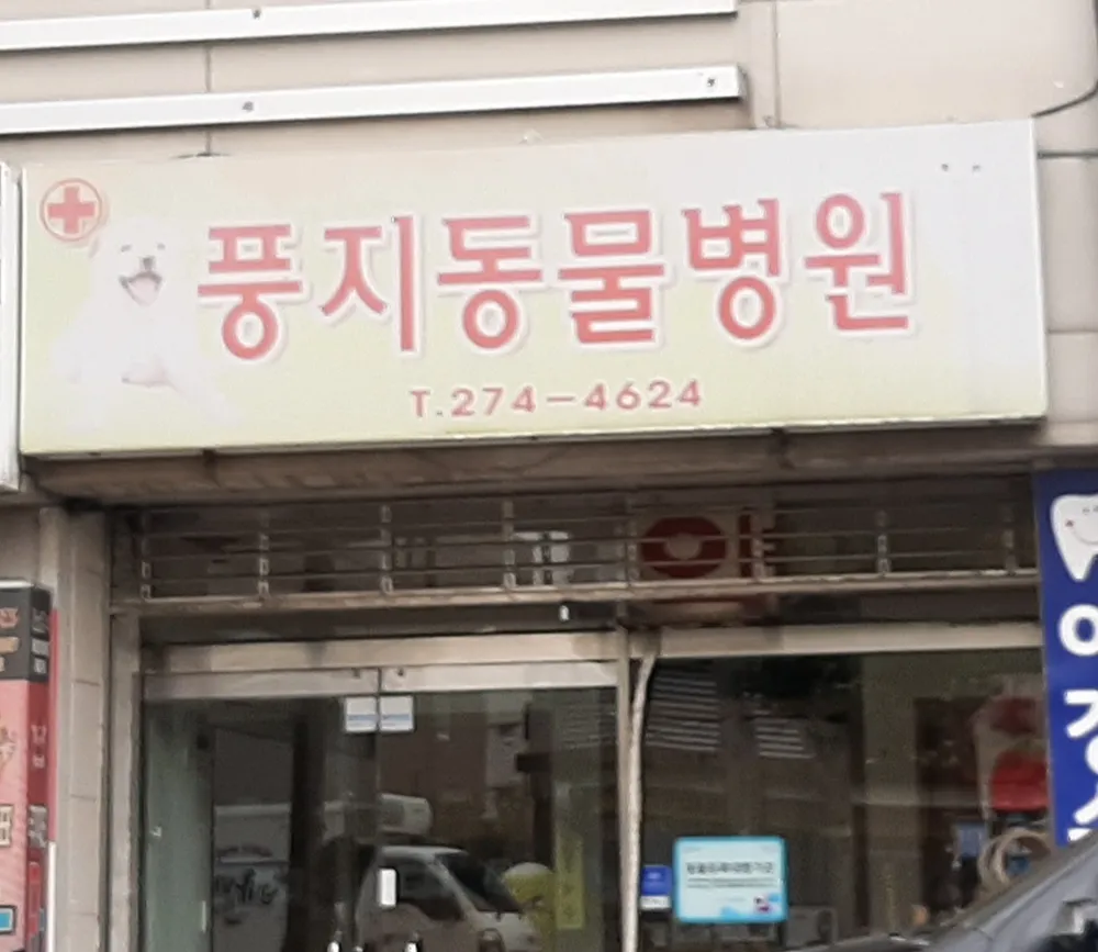 풍지동물병원 대표 이미지