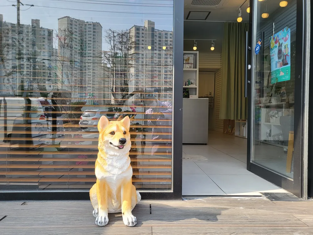 효자동물병원 대표 이미지