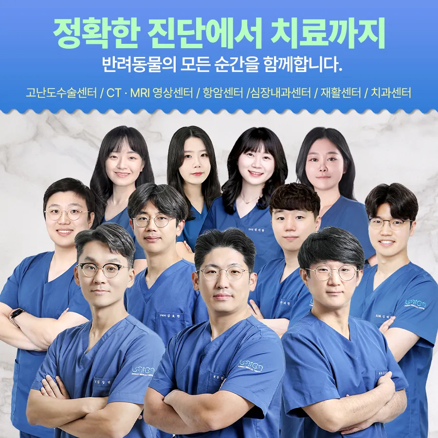 유니온동물메디컬센터 대표 이미지