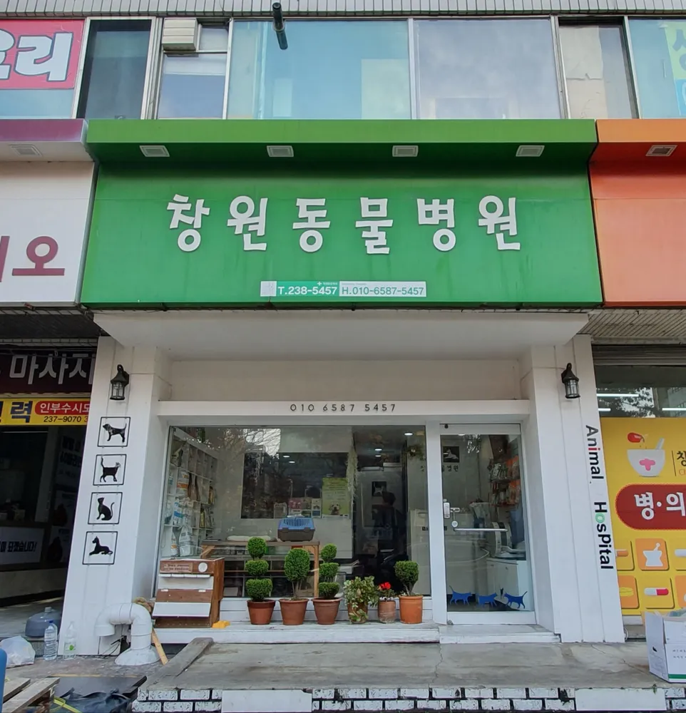 창원동물병원 대표 이미지