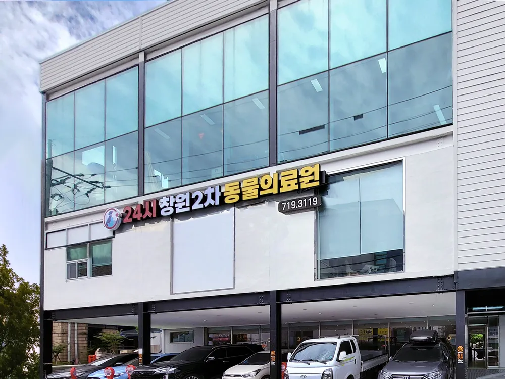 24시 창원2차동물의료원 대표 이미지