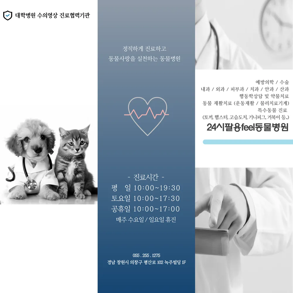 24시팔용feel동물병원 대표 이미지