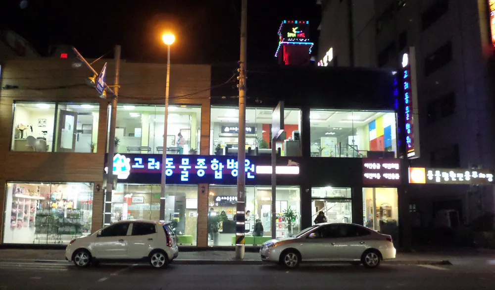 고려종합동물병원 대표 이미지