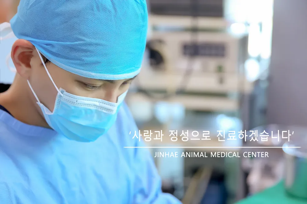 진해동물의료센터 대표 이미지