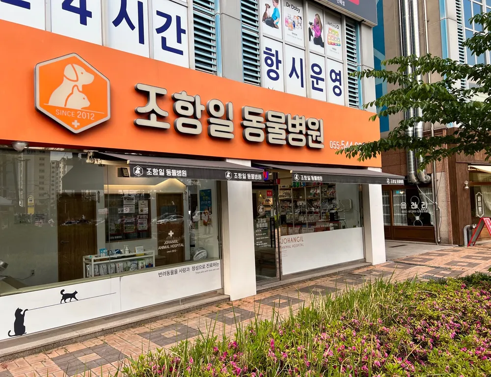 조항일동물병원 대표 이미지