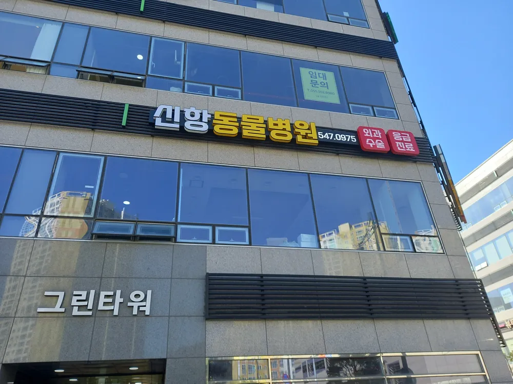 신항동물병원 대표 이미지