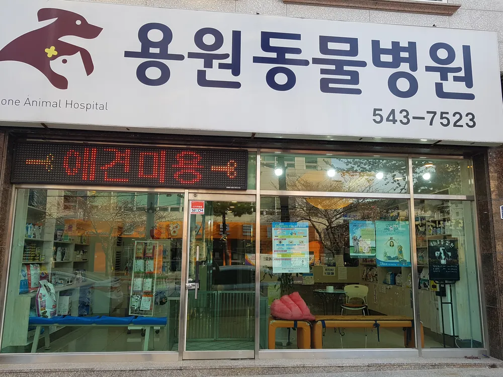 용원동물병원 대표 이미지