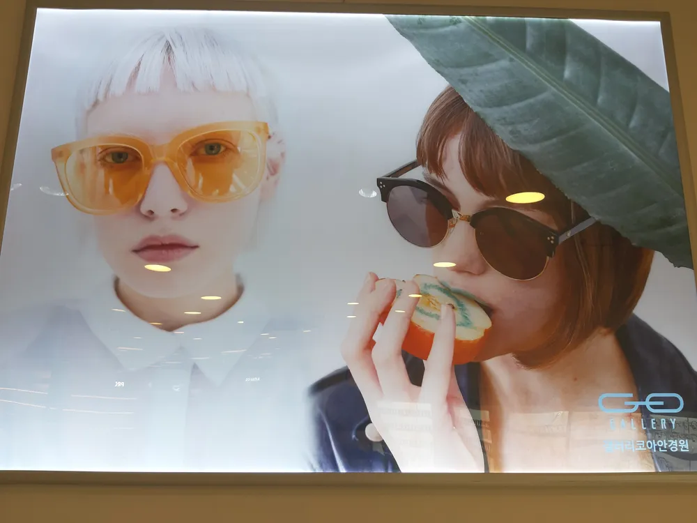 갤러리코아안경원 대표 이미지