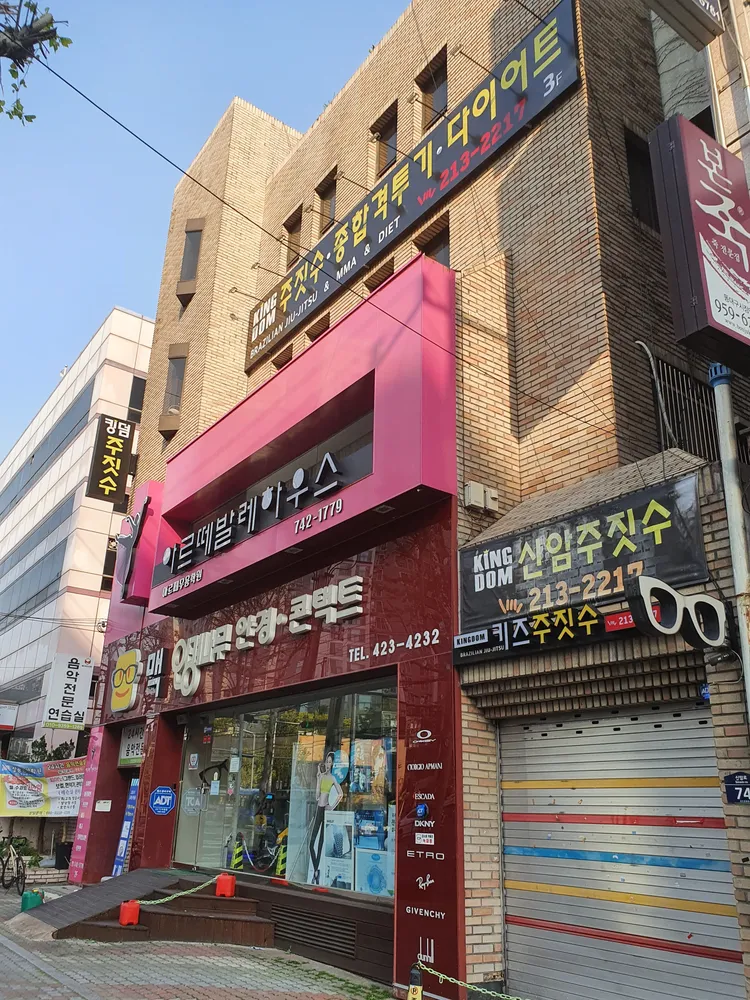 맥안경나무 대표 이미지
