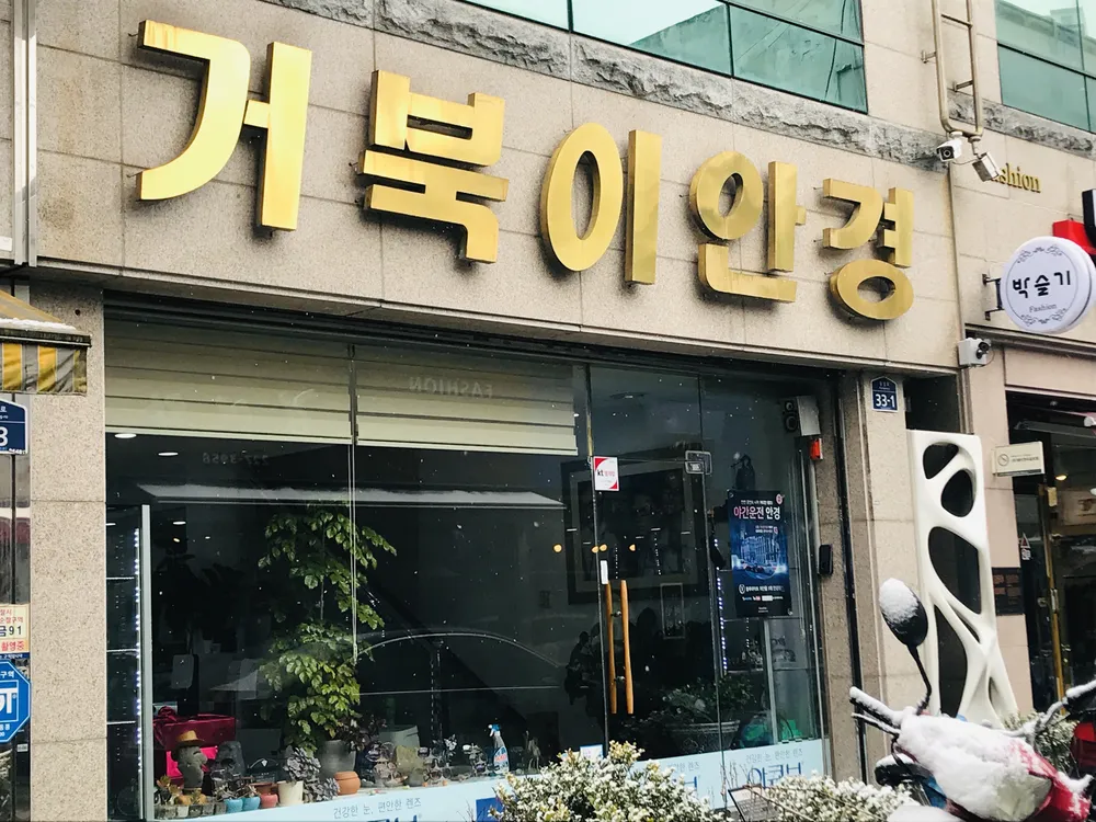 거북이안경 대표 이미지