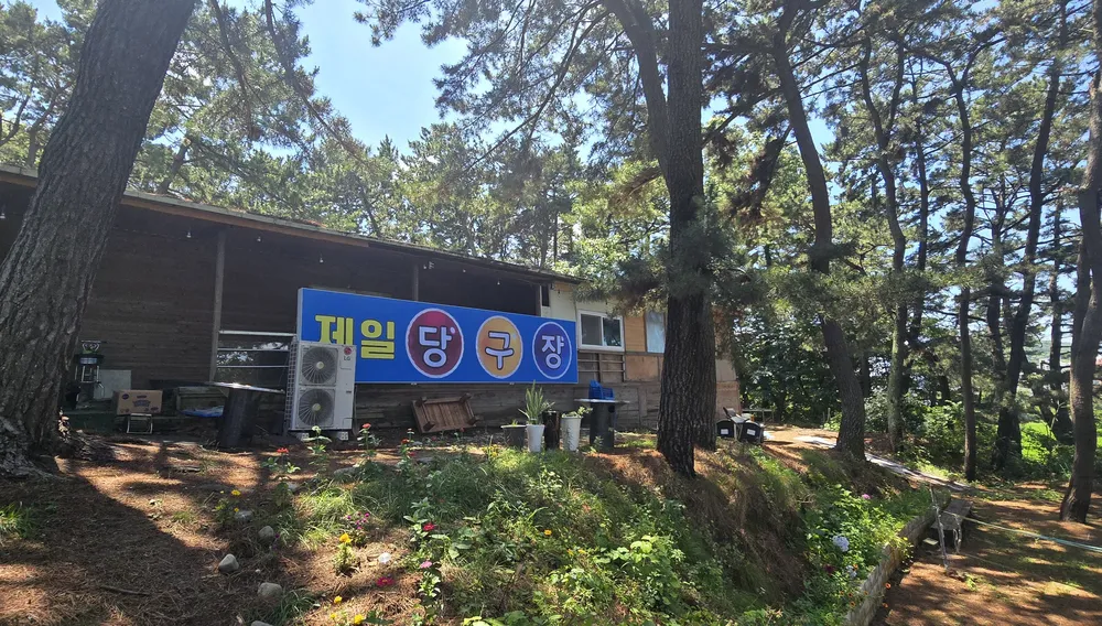 제일당구장 대표 이미지