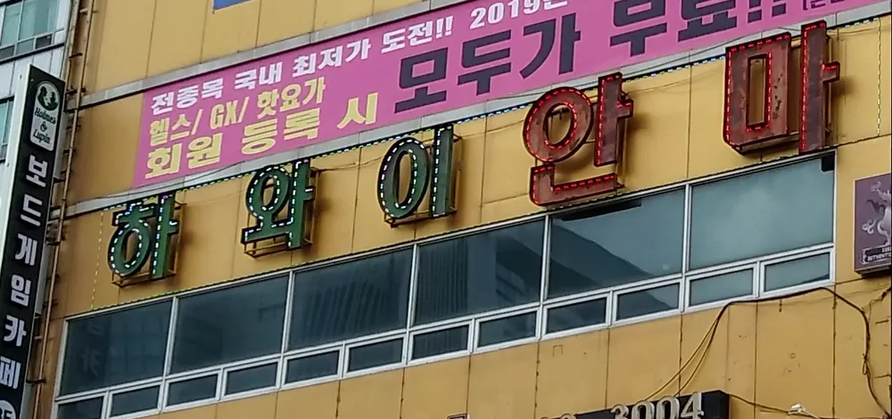 하와이안마 대표 이미지