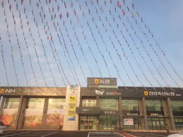 천안축산농협 한우프라자 대표 이미지