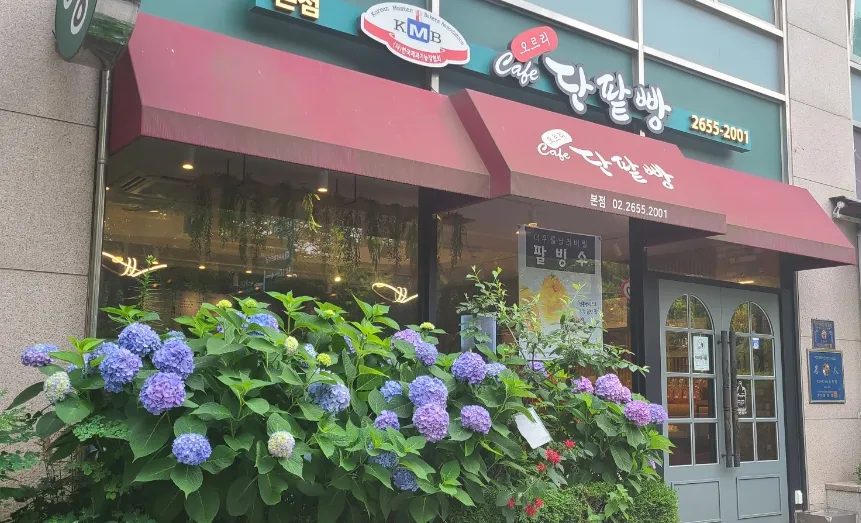 오르리단팥빵 본점 대표 이미지