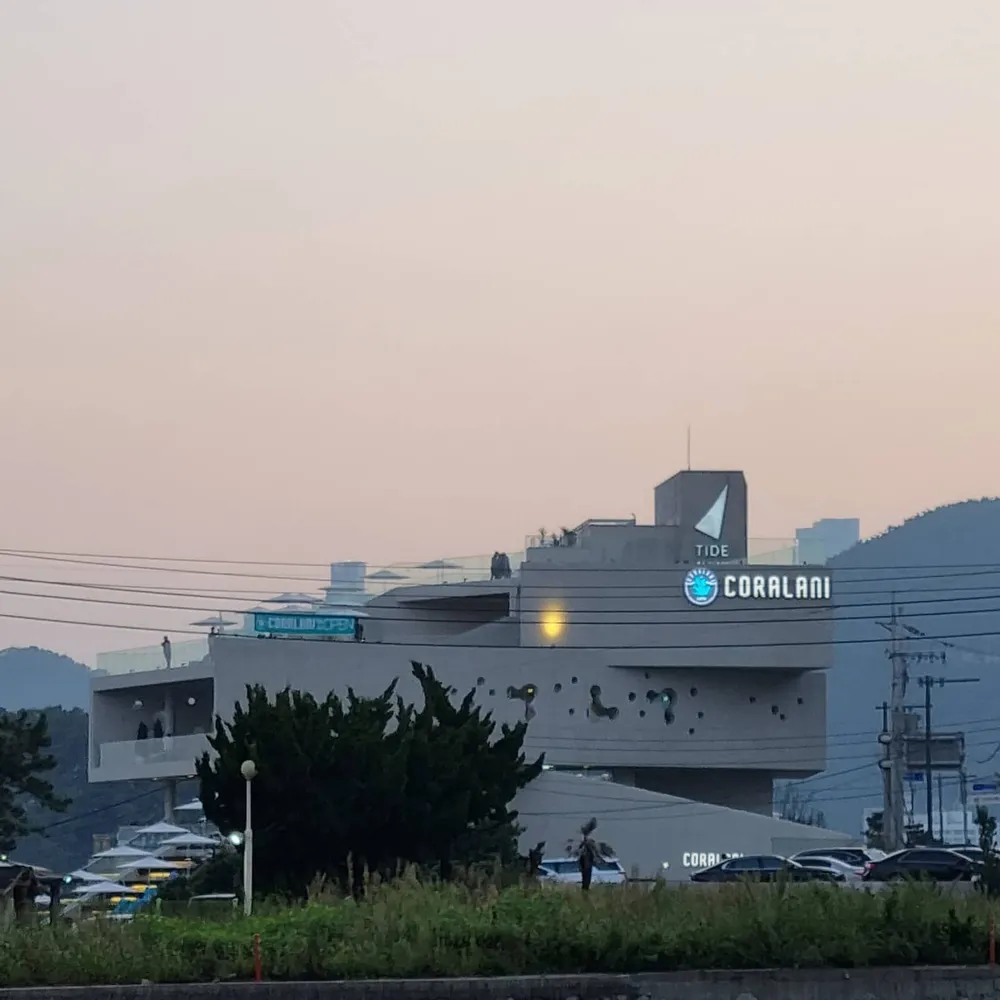 코랄라니 대표 이미지