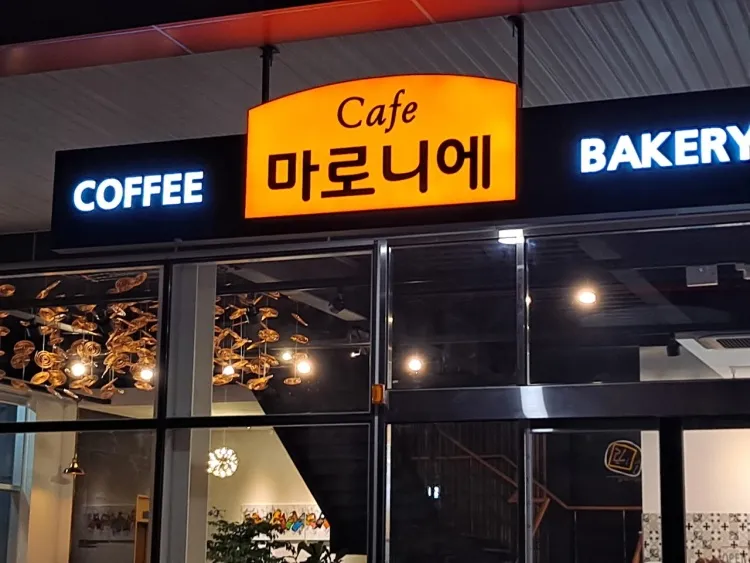 마로니에 대표 이미지